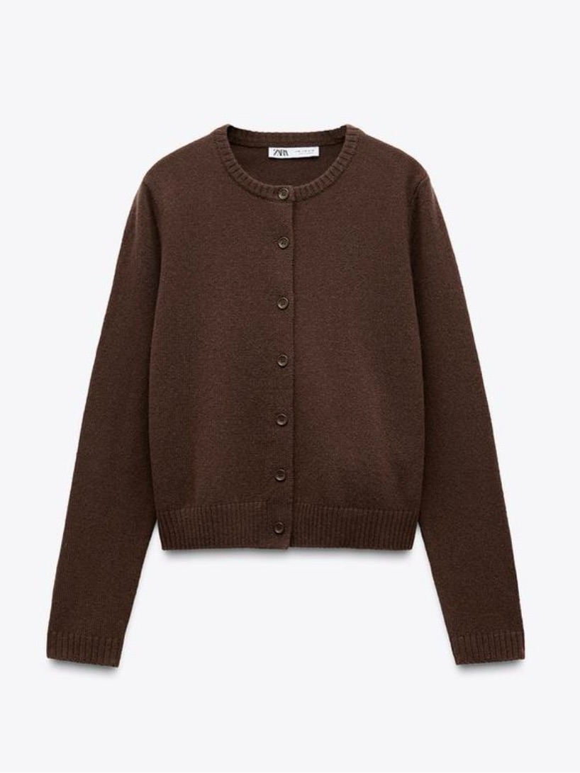 Zara Dark Brown Button-Front Crewneck Cardigan